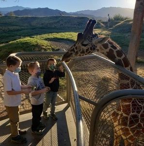 Meet your Posher, Patrick